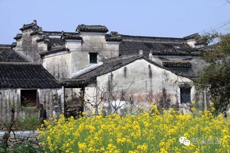 秋冬时节不要错过慈溪这三条养生旅游线路